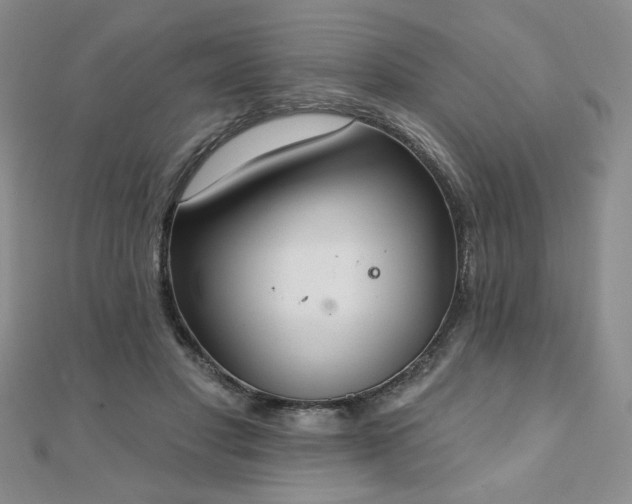 X0000110860501200906181144