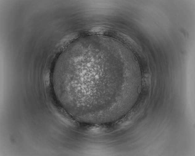 X0000110860504200906181144