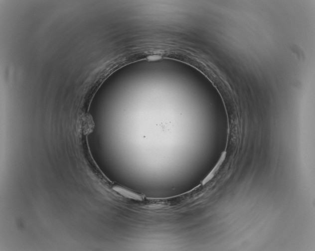 X0000110860505200906181144