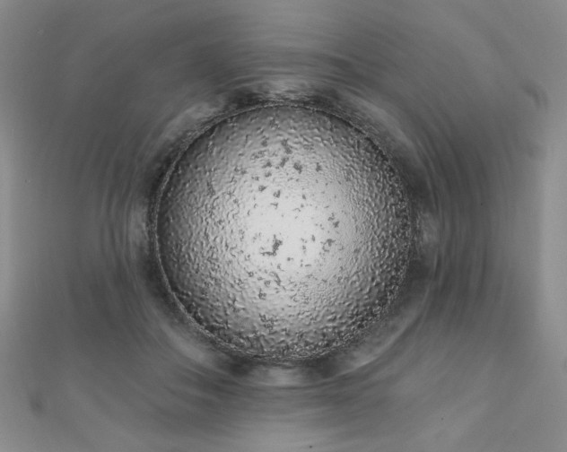 X0000110860506200906181144