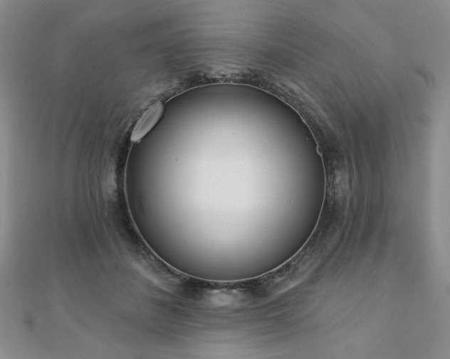 X0000110860508200906181144
