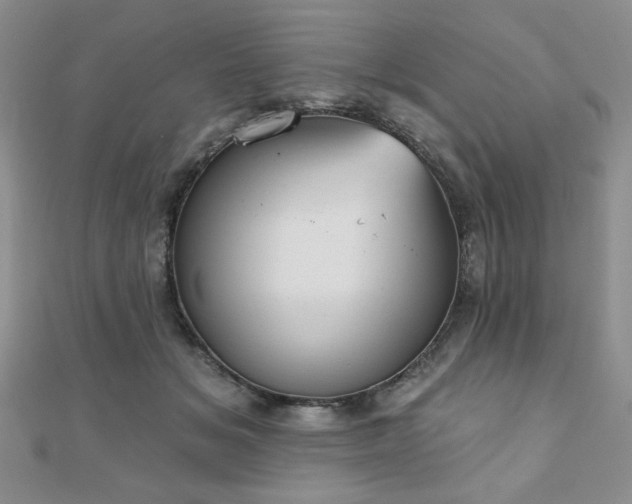 X0000110860509200906181144