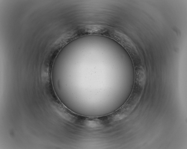 X0000110860510200906181144