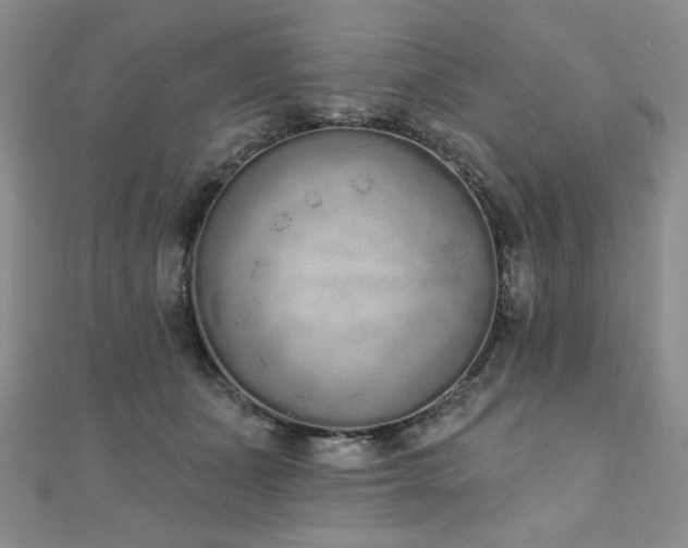 X0000110860511200906181144