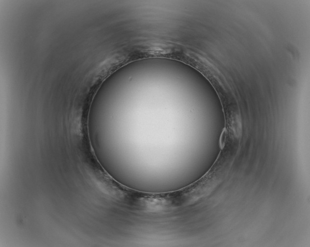 X0000110860512200906181144