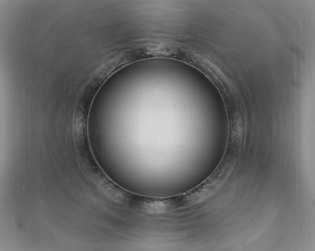 X0000110860513200906181144