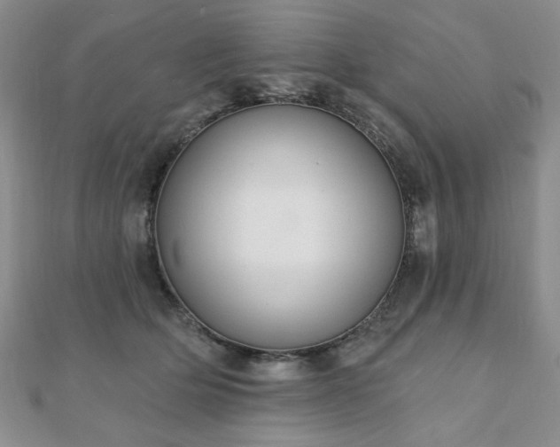 X0000110860514200906181144