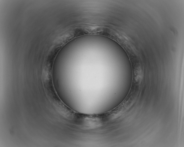 X0000110860515200906181144