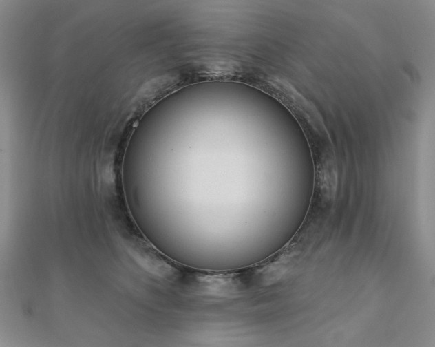 X0000110860516200906181144