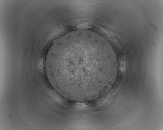 X0000110860519200906181144