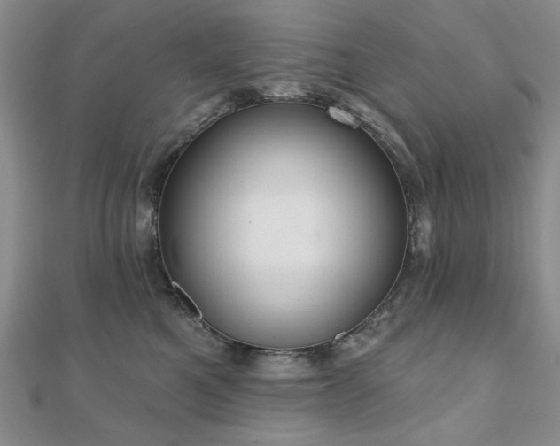X0000110860521200906181144