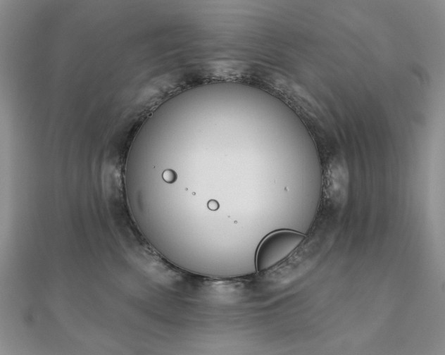 X0000110860522200906181144