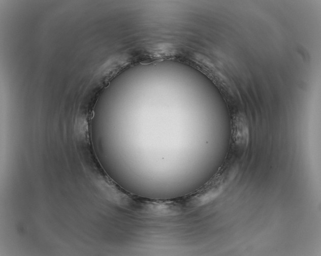 X0000110860523200906181144