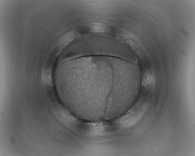 X0000110860524200906181144