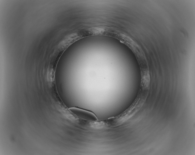 X0000110860525200906181144