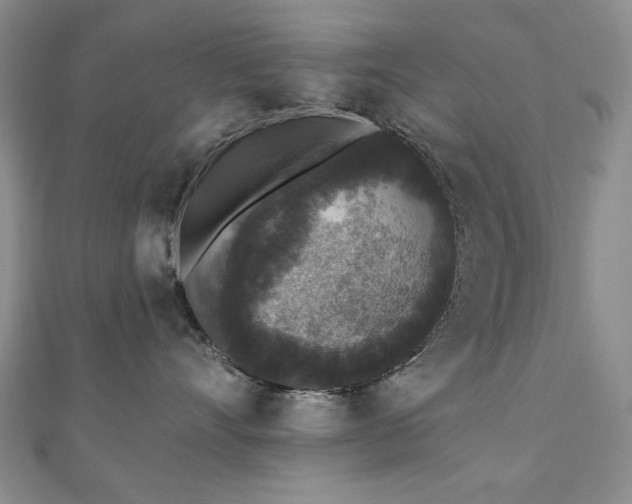 X0000110860528200906181144