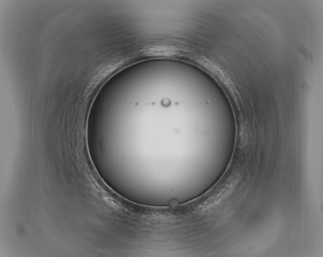 X0000110860529200906181143