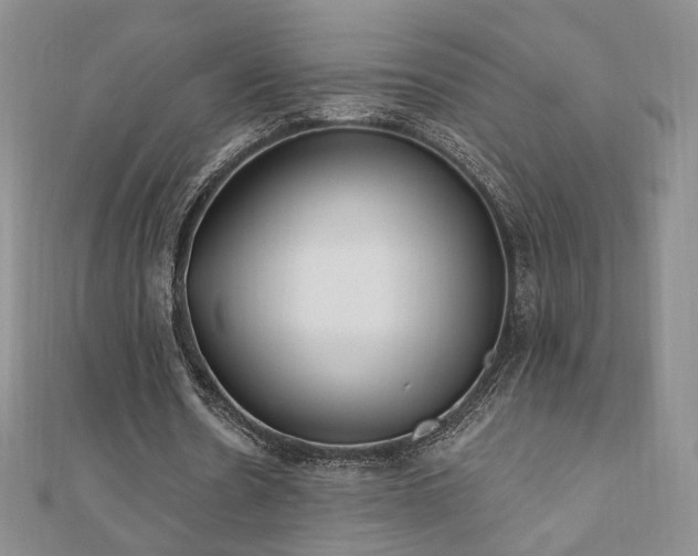 X0000110860530200906181143