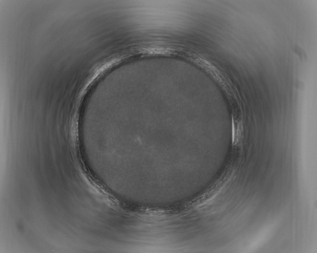 X0000110860531200906181143