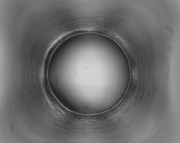 X0000110860532200906181143