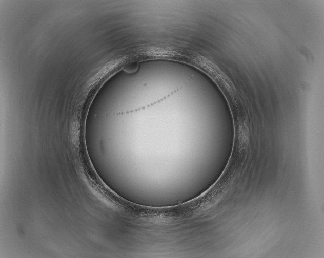 X0000110860533200906181143
