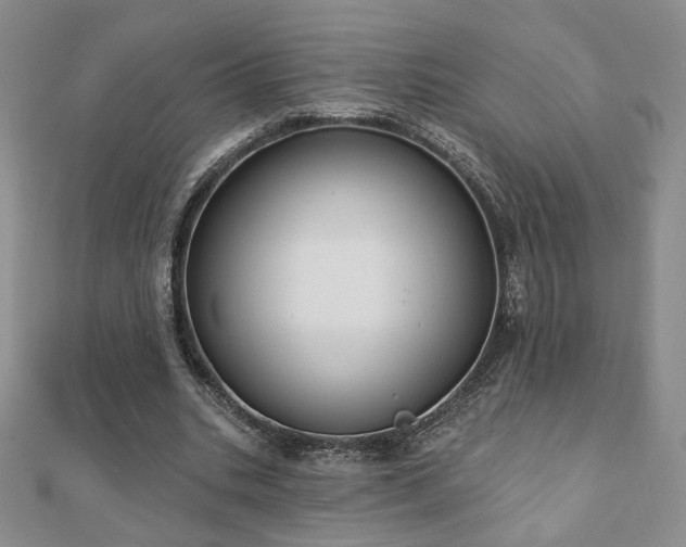 X0000110860535200906181143