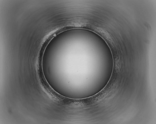 X0000110860536200906181143