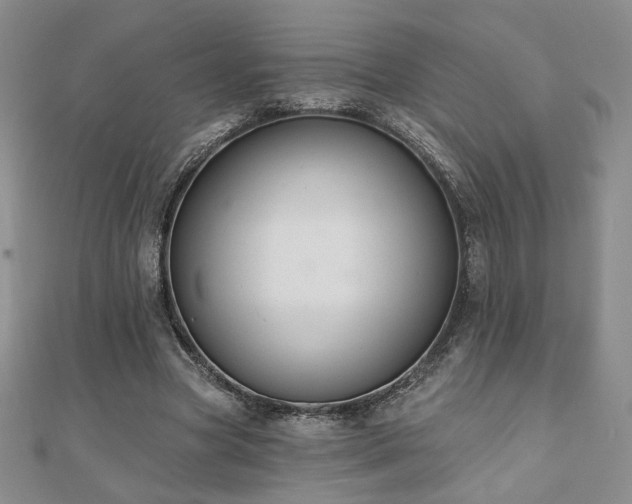 X0000110860537200906181143
