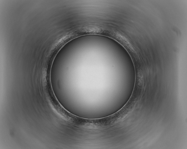 X0000110860538200906181143