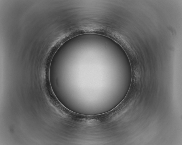X0000110860539200906181143