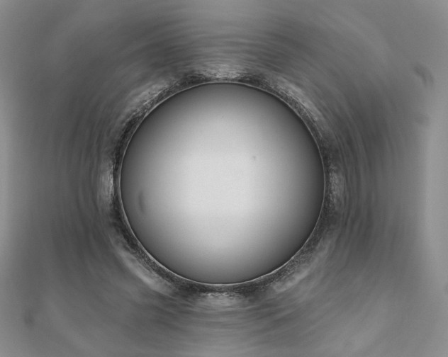 X0000110860541200906181143