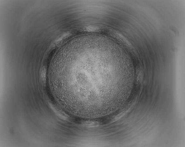 X0000110860542200906181143
