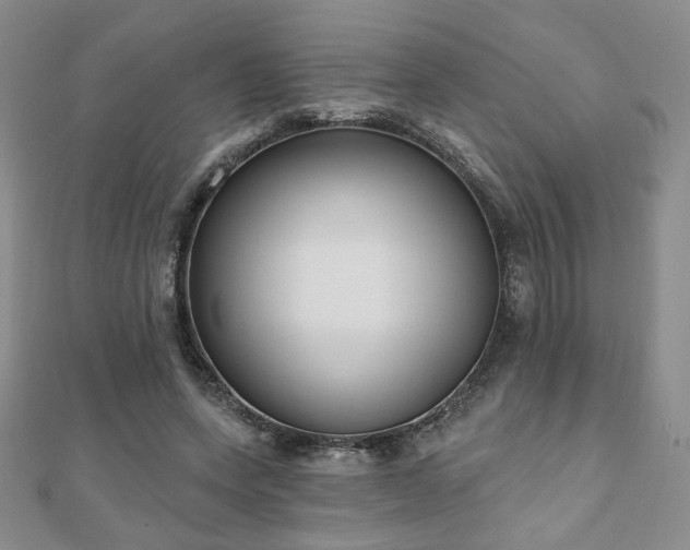 X0000110860543200906181143