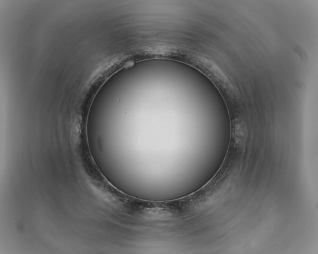 X0000110860544200906181143