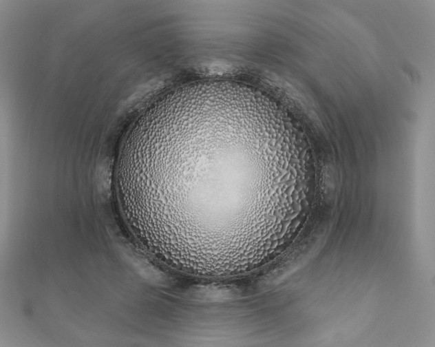 X0000110860545200906181143