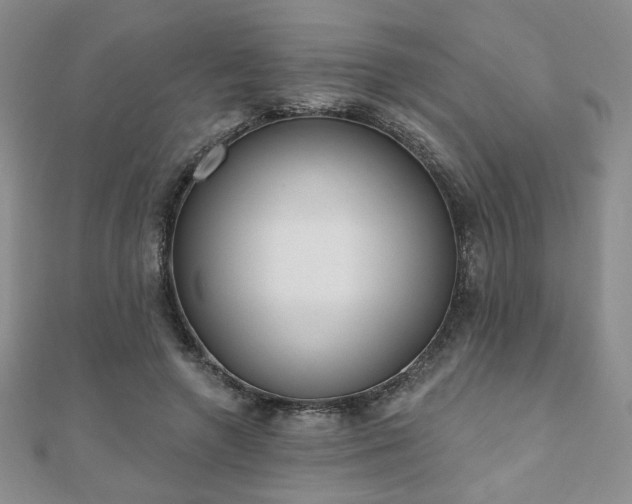 X0000110860546200906181143