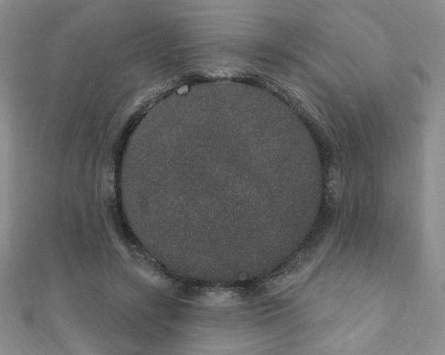 X0000110860547200906181143