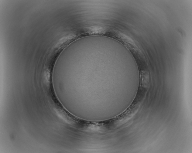 X0000110860550200906181143
