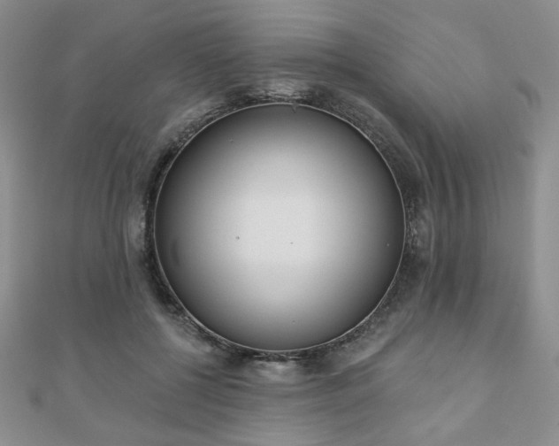 X0000110860552200906181143