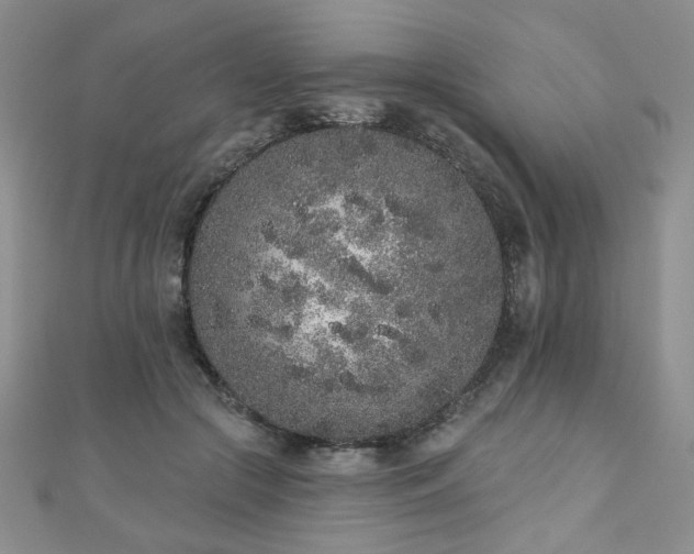 X0000110860553200906181143