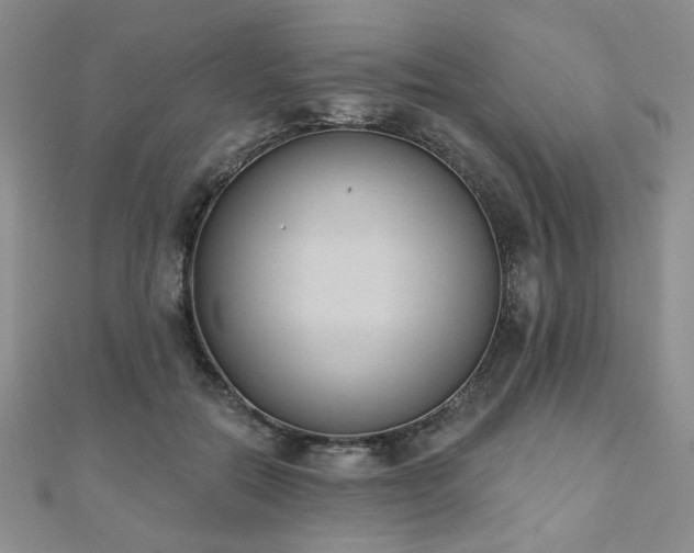X0000110860554200906181143