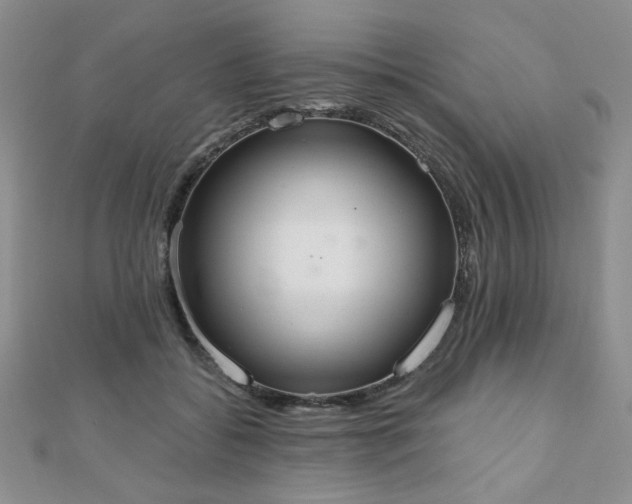 X0000110860556200906181143