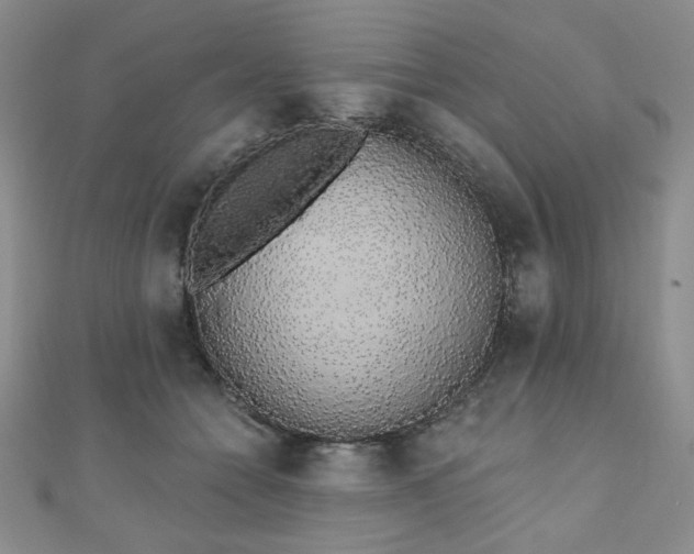 X0000110860558200906181143