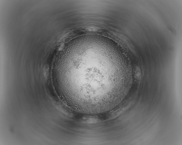 X0000110860559200906181143