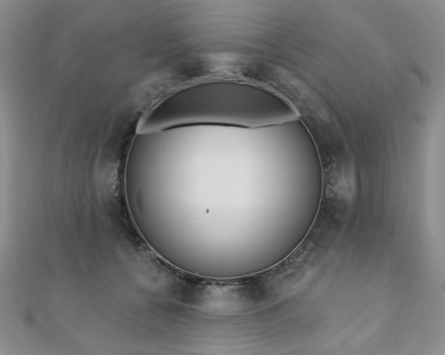 X0000110860560200906181143