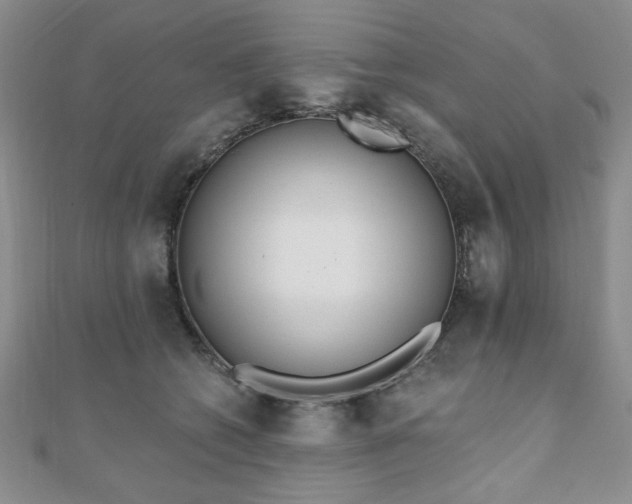 X0000110860562200906181143