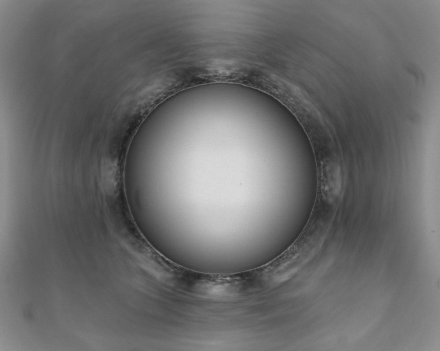 X0000110860563200906181143
