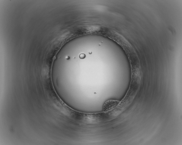 X0000110860565200906181143