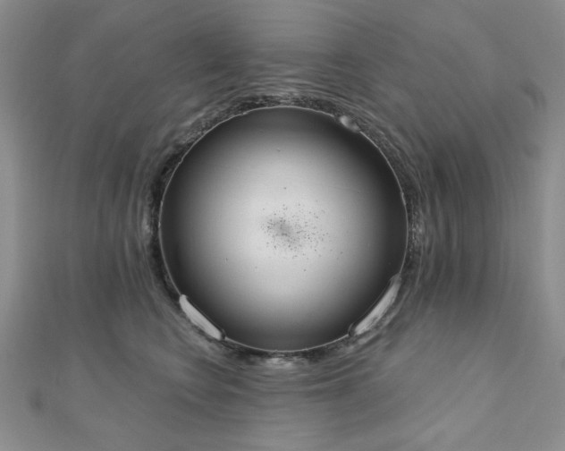 X0000110860566200906181143