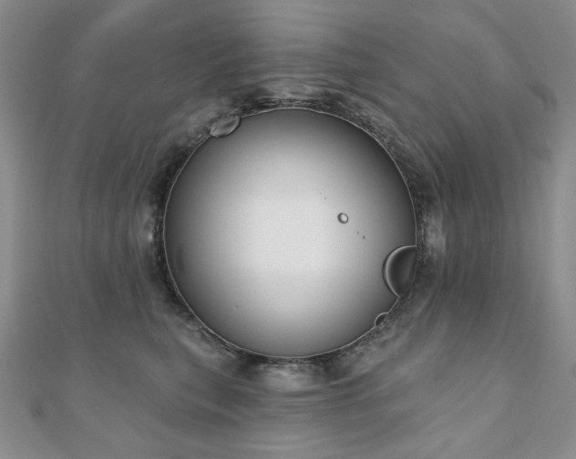 X0000110860567200906181143